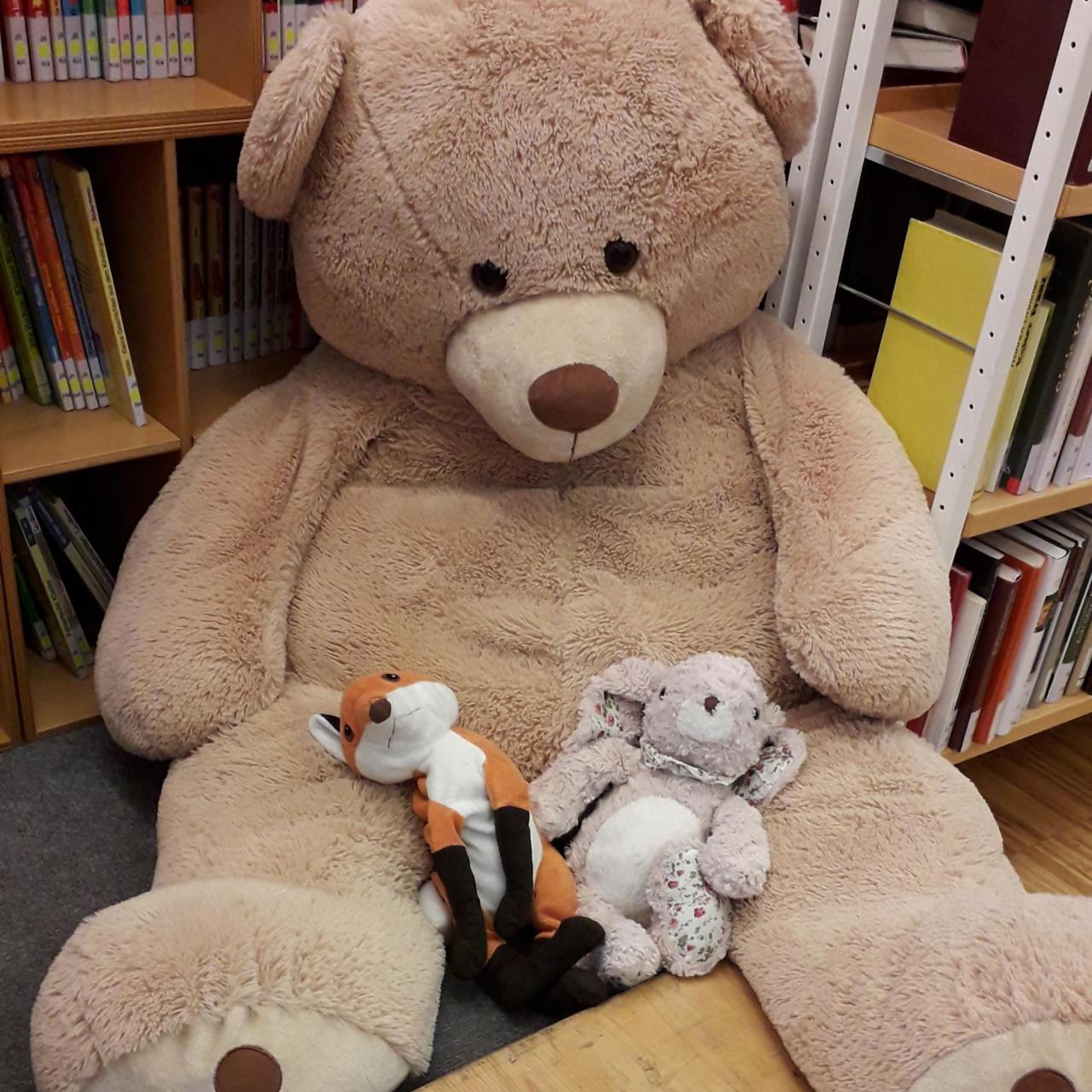 Plüschbär sitzt vor Bücherregal