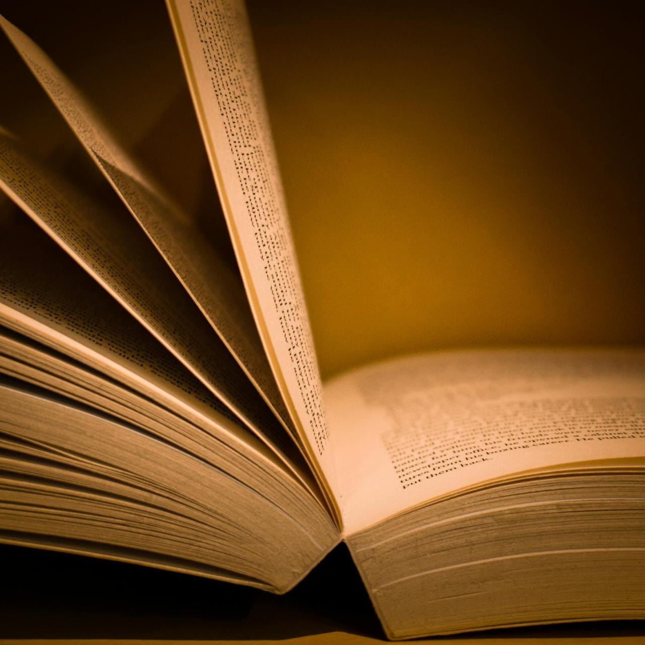 Aufgeschlagenes Buch